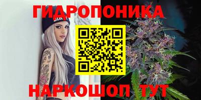 гашик Ликино-Дулёво