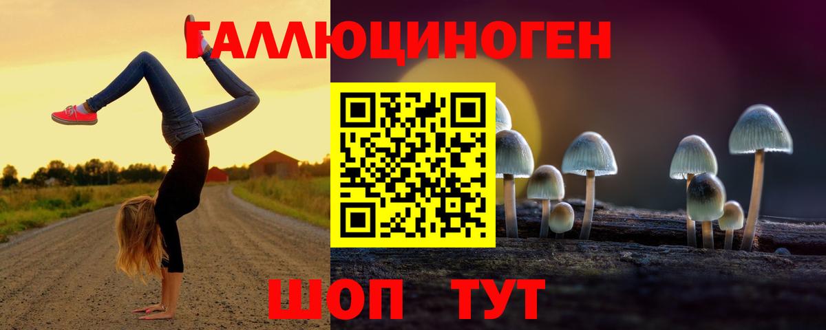 Псилоцибиновые грибы мицелий Ярцево