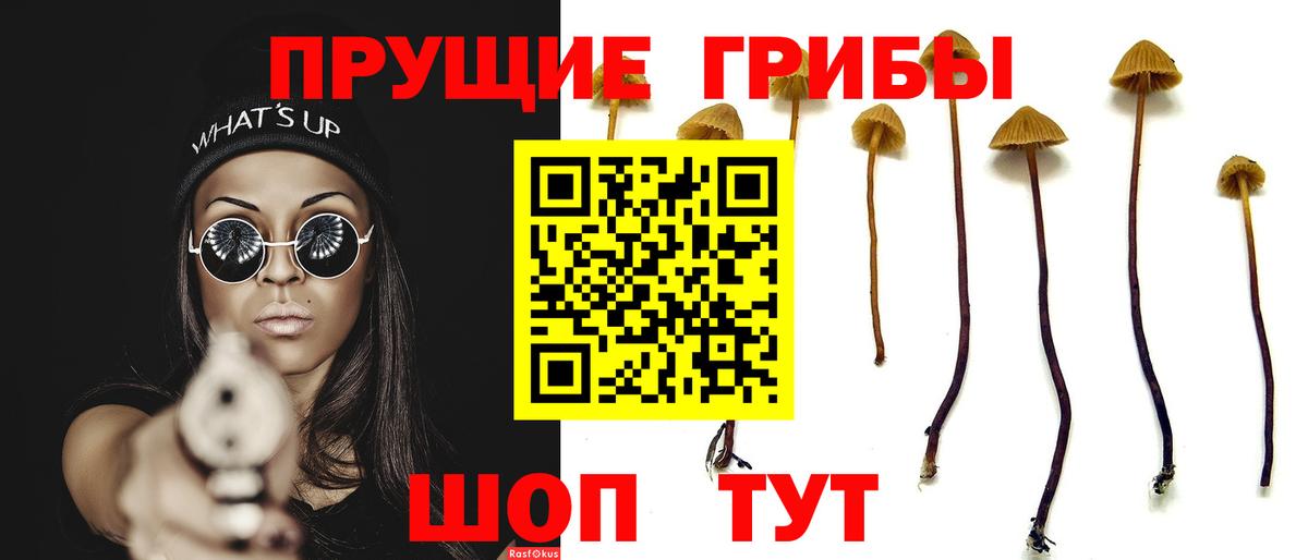 Галлюциногенные грибы мицелий  Вход с VPN  Ярцево 
